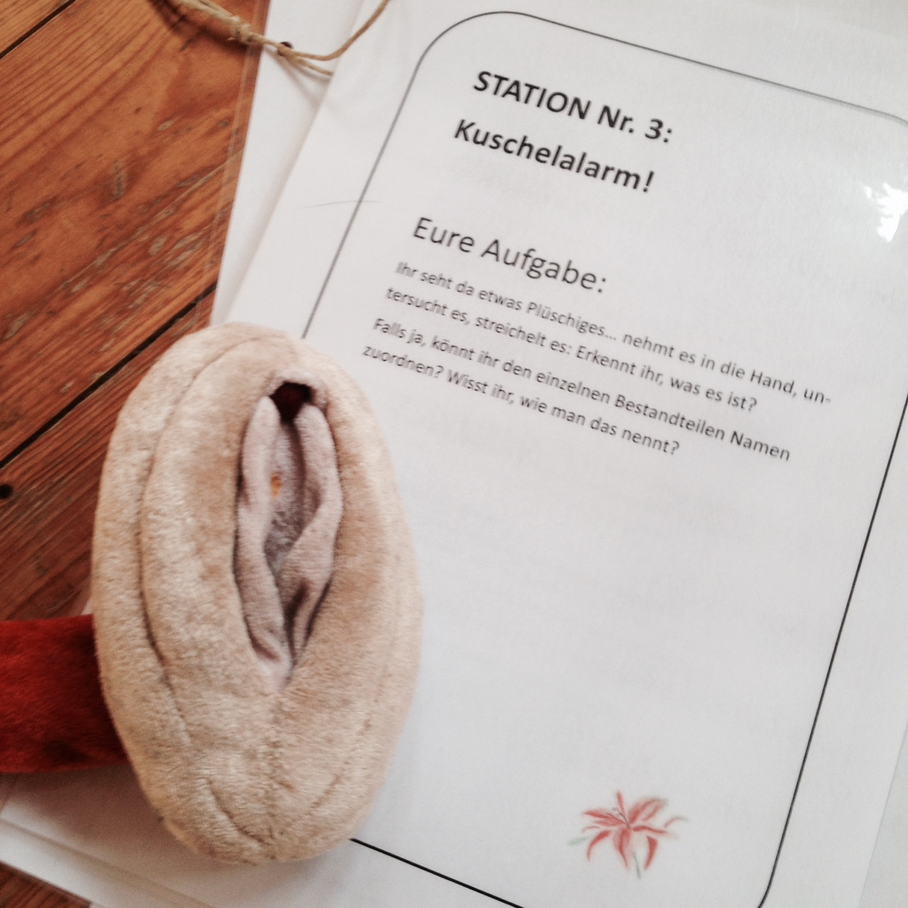 Dein Avalon, ANATOMIE, Erwachen der Weiblichkeit, Melanie Zeinali, Wiesbaden, Mädchen, junge Frauen, Menstruation, Sexualität