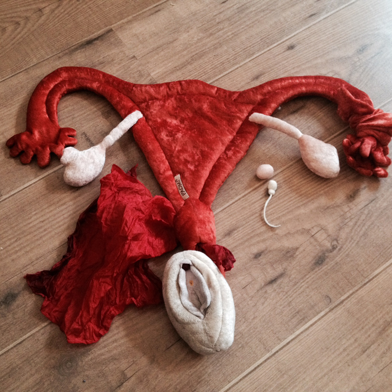 Dein Avalon, GEBÄRMUTTER, Erwachen der Weiblichkeit, Melanie Zeinali, Wiesbaden, Mädchen, junge Frauen, Menstruation, Sexualität