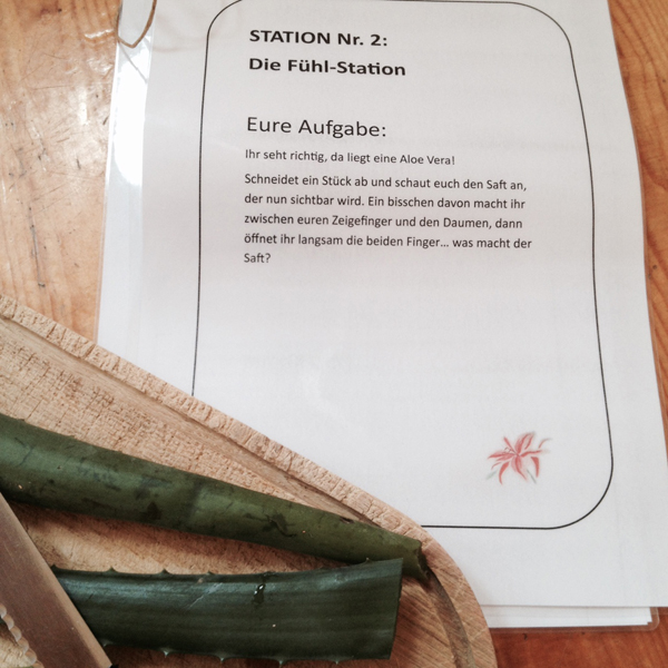 Dein Avalon, ZERVIXSCHLEIM, Erwachen der Weiblichkeit, Melanie Zeinali, Wiesbaden, Mädchen, junge Frauen, Menstruation, Sexualität